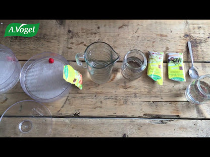 Organic BioSnacky Alfalfa Sprouting Seeds 40g