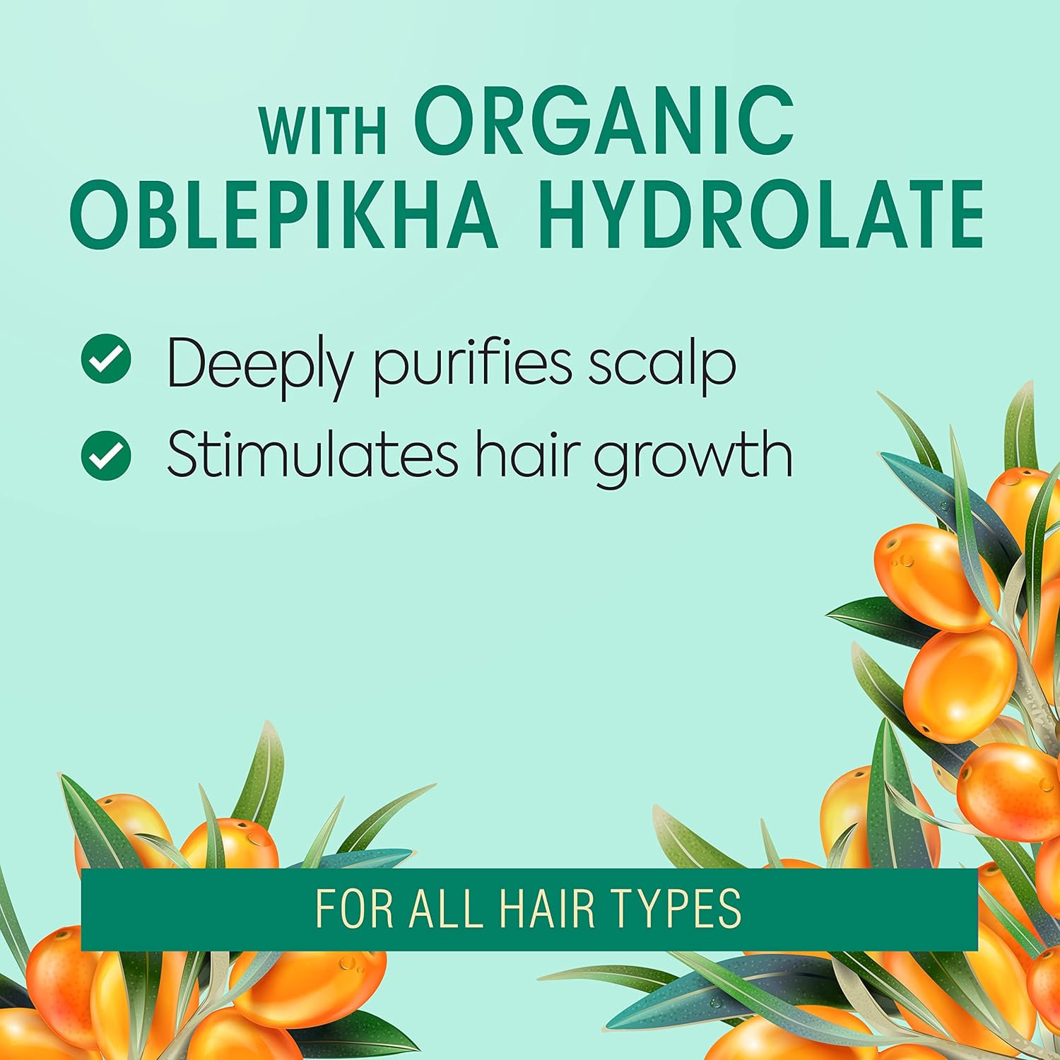 Professional Oblepikha Scalp Scrub 200ml - Natura Siberica - Scalp Care - Eco Natural Products