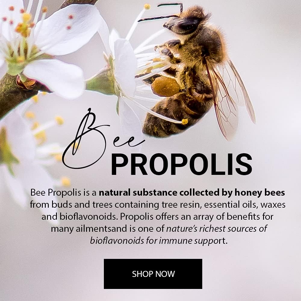 Propolis Liquid 30ml [BLACK FRIDAY] - Eco Natural Products - Bee Health - Supplements