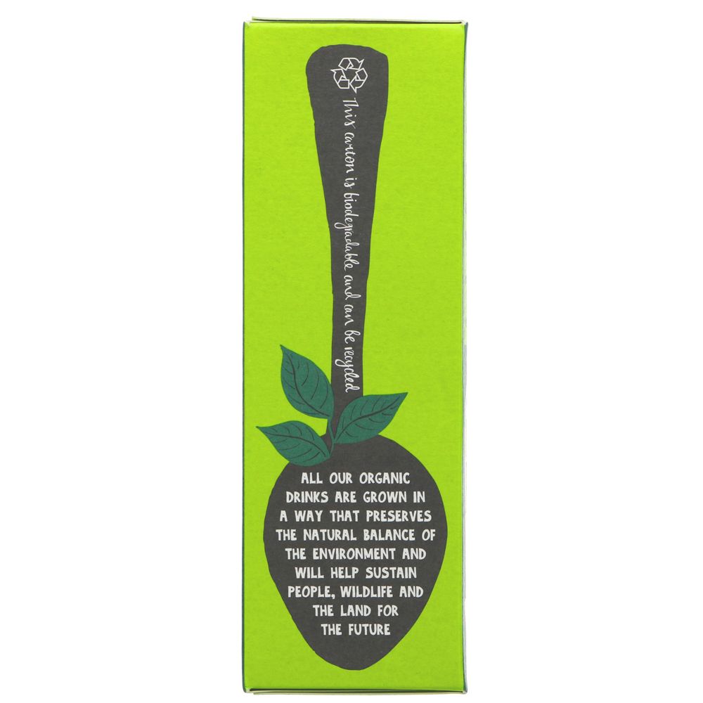 Pure Green Tea 20 Bags - Clipper - Tea - Eco Natural Products