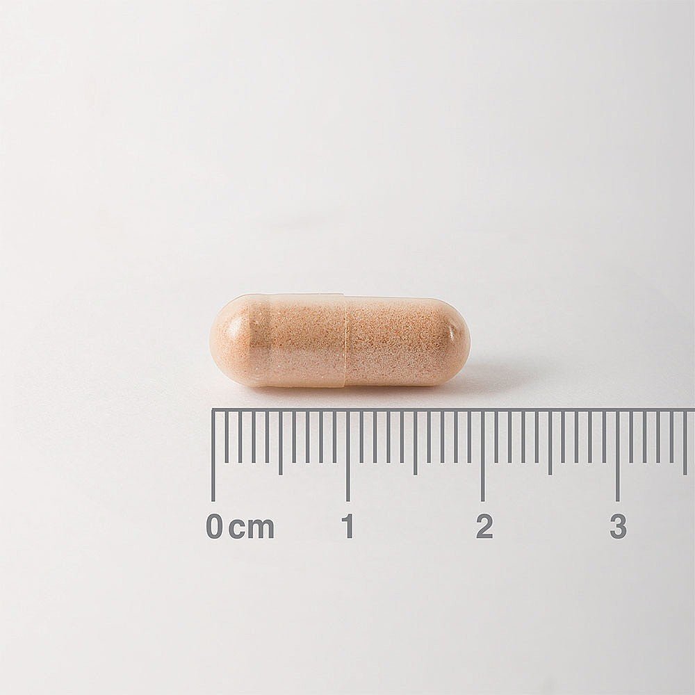 Pycnogenol 40mg 60 Caps - Lamberts - Food Supplement - Eco Natural Products