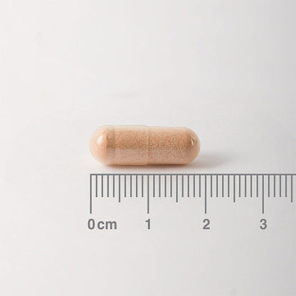 Pycnogenol 40mg 60 Caps - Lamberts - Food Supplement - Eco Natural Products