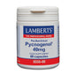 Pycnogenol 40mg 60 Caps - Lamberts - Food Supplement - Eco Natural Products