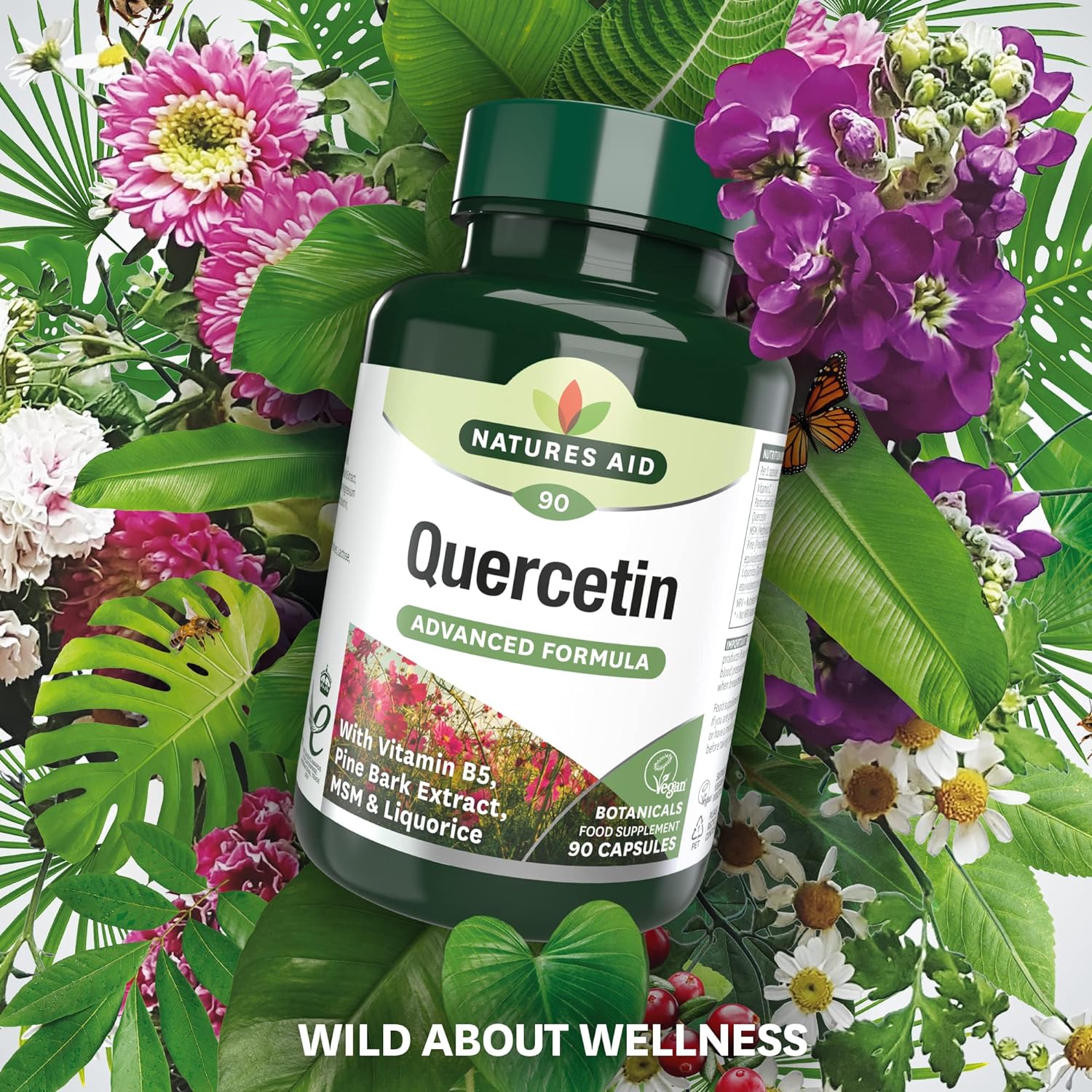 Quercetin Formula with Vitamin B5 & MSM 90 VCaps - Natures Aid - Vitamins & Supplements - Eco Natural Products