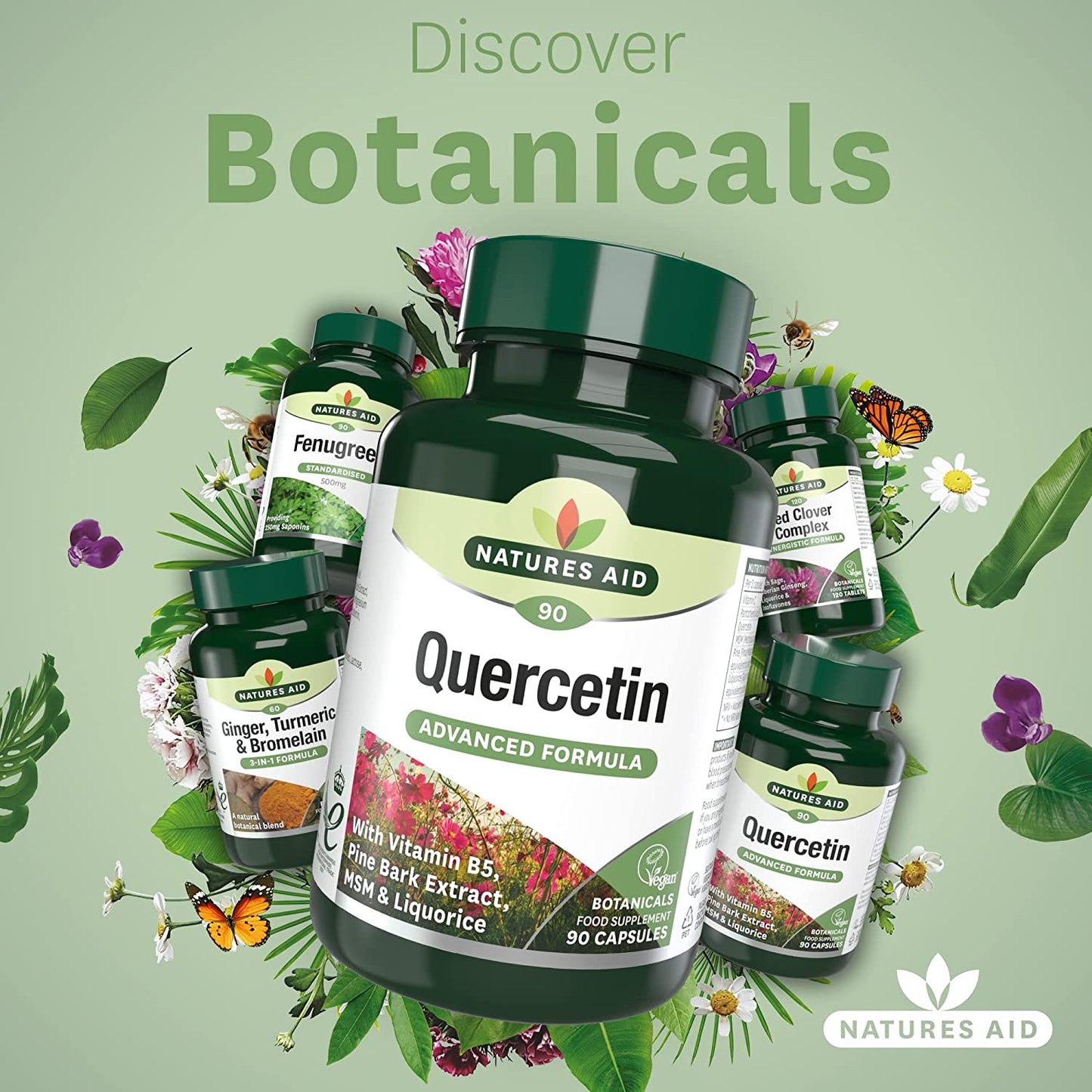 Quercetin Formula with Vitamin B5 & MSM 90 VCaps - Natures Aid - Vitamins & Supplements - Eco Natural Products