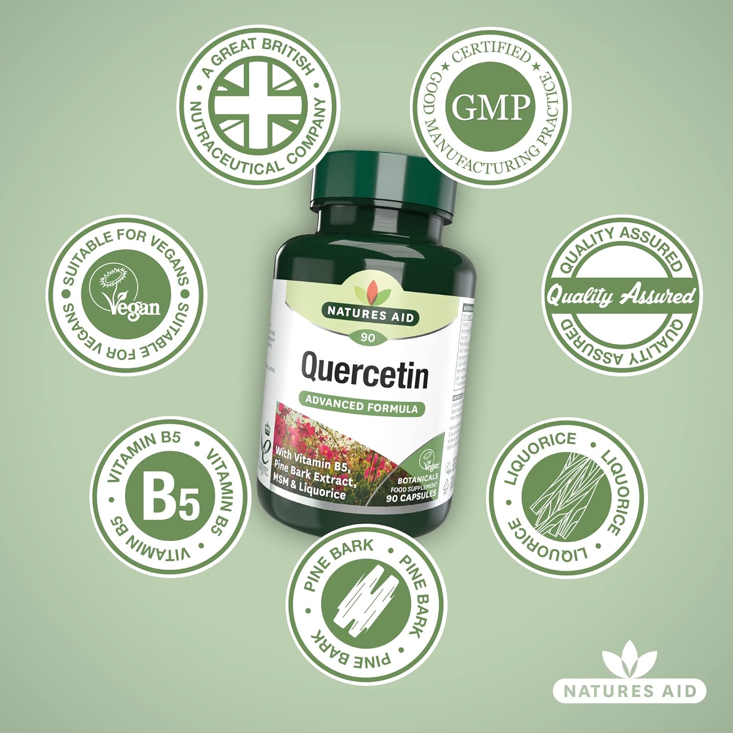 Quercetin Formula with Vitamin B5 & MSM 90 VCaps - Natures Aid - Vitamins & Supplements - Eco Natural Products