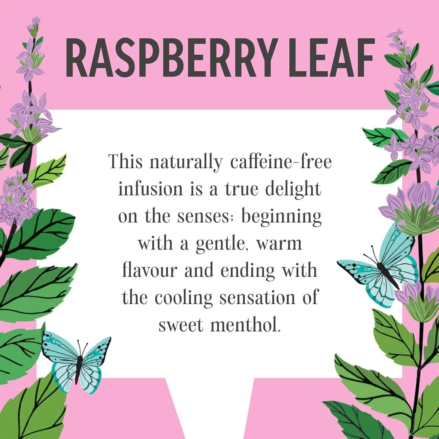 Raspberry Leaf Infusion 20 Bags - Heath & Heather - Infusions - Heath & Heather