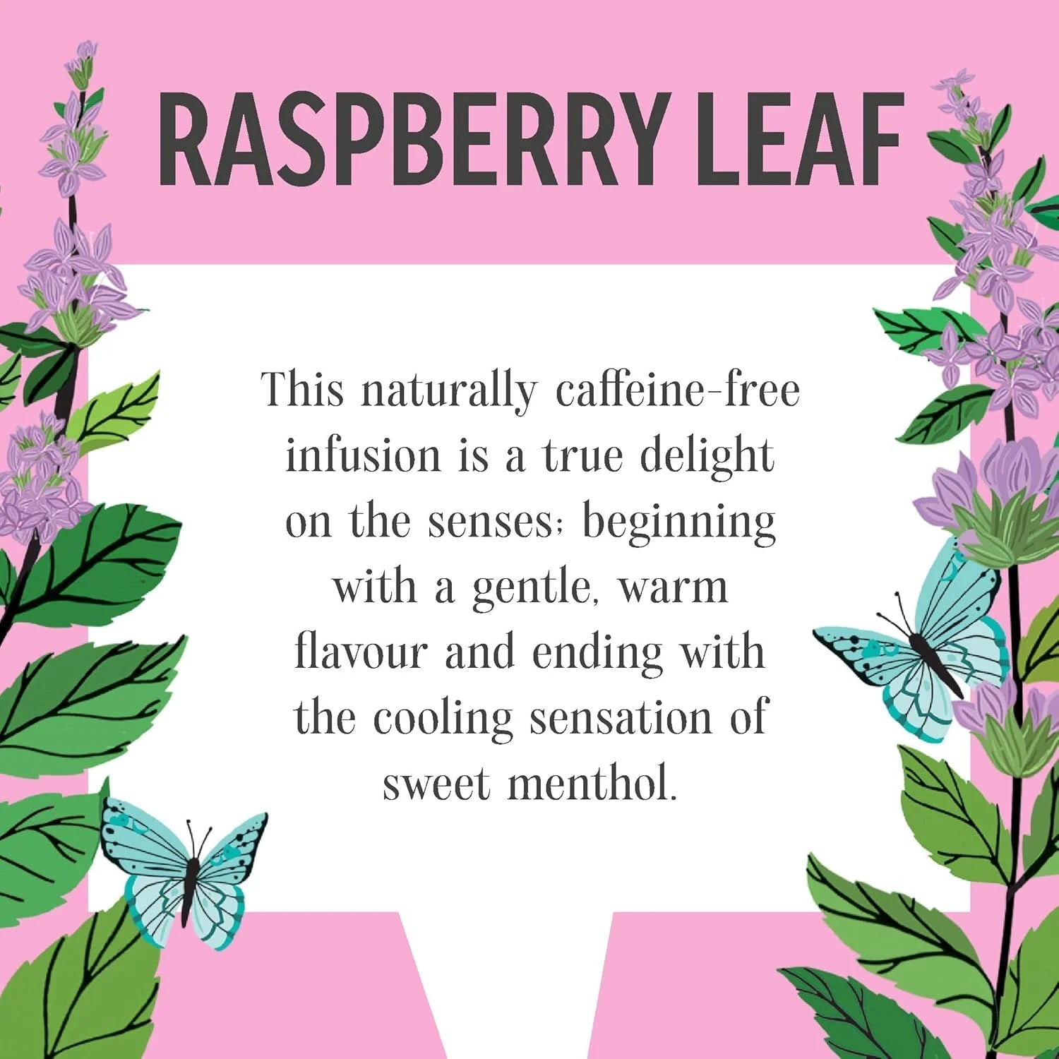 Raspberry Leaf Infusion 20 Bags - Heath & Heather - Infusions - Heath & Heather