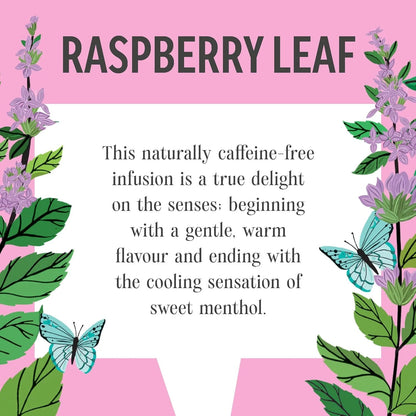 Raspberry Leaf Infusion 20 Bags - Heath & Heather - Infusions - Heath & Heather