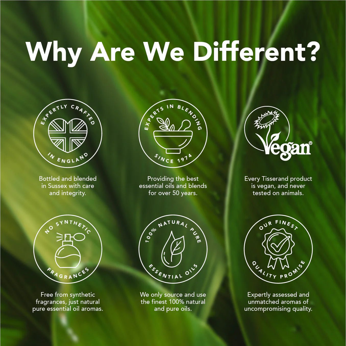 Real Calm Bath Oil 200ml - Tisserand - Essential Oil Blend - Tisserand