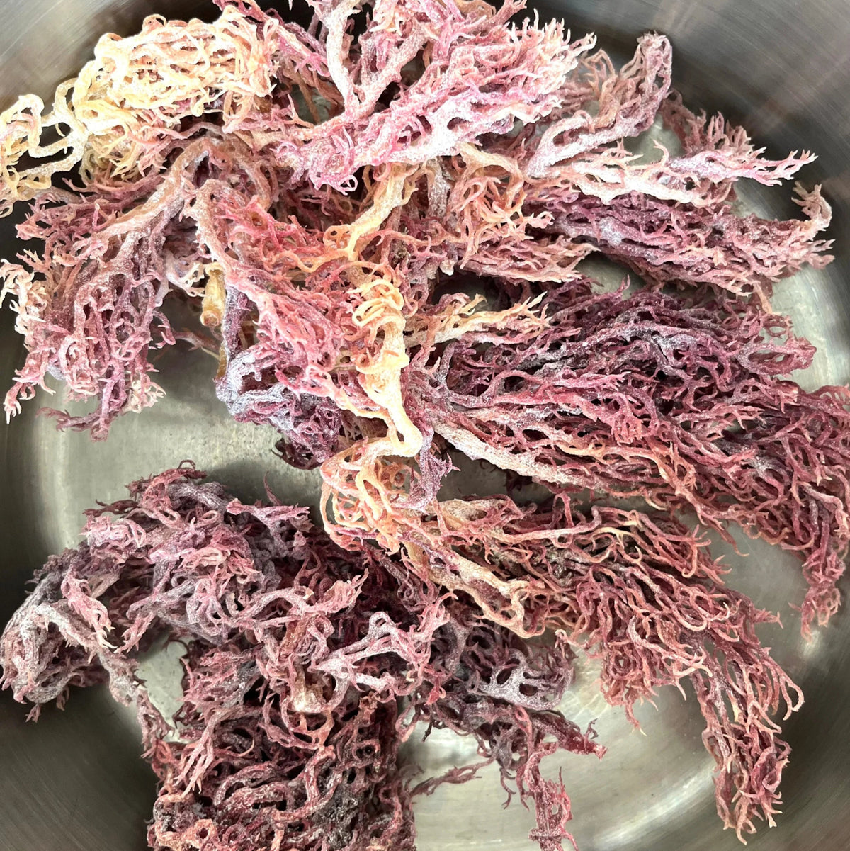 Red Sea Moss Gel 250ml - Genni - Herbal Supplements - Eco Natural Products