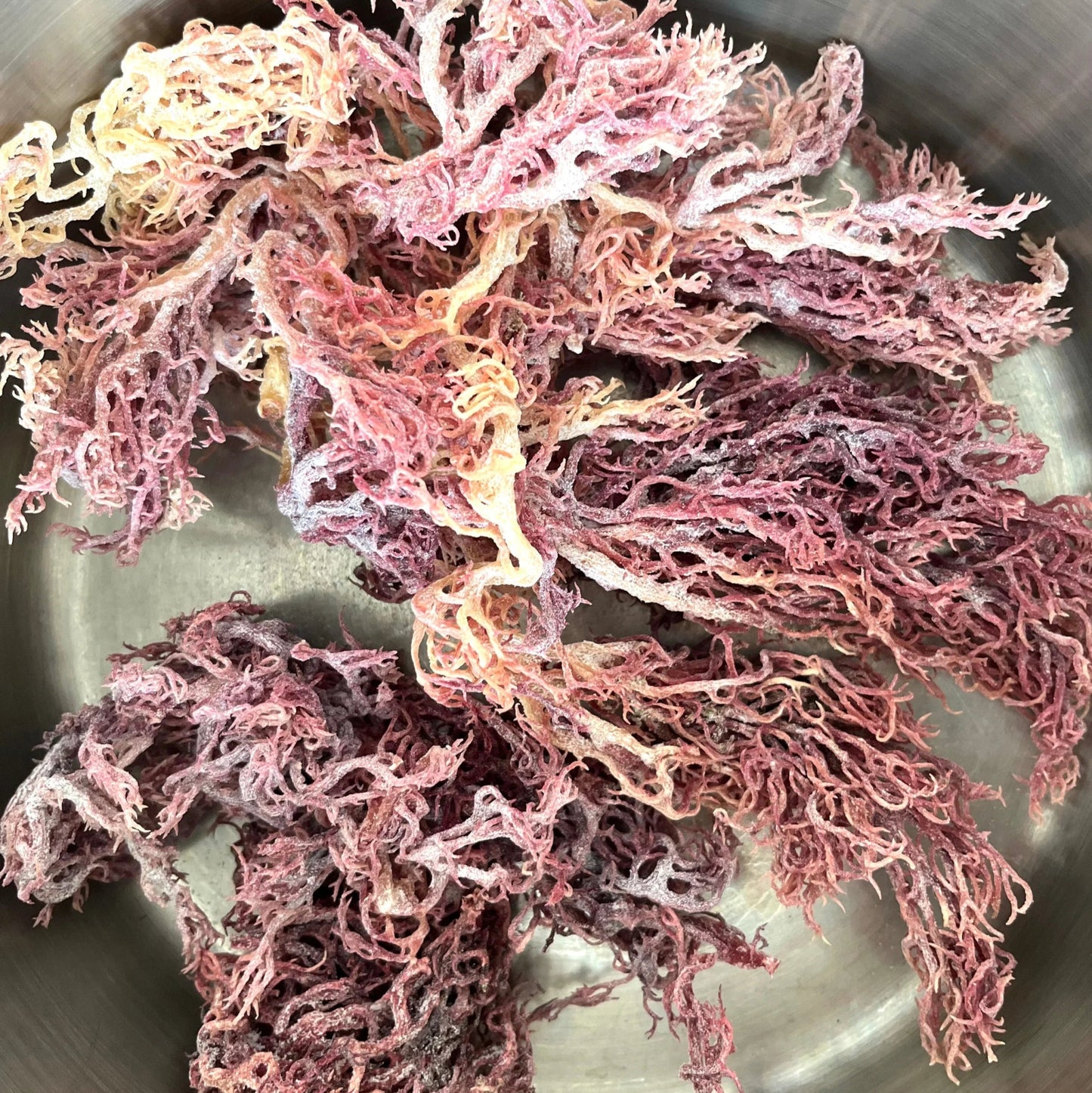 Red Sea Moss Gel 250ml - Genni - Herbal Supplements - Eco Natural Products