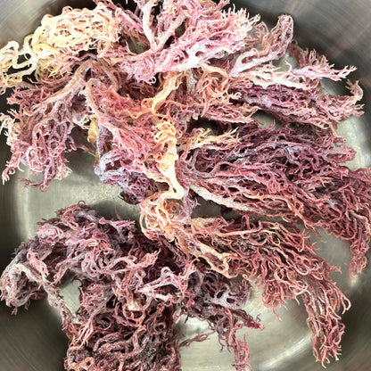 Red Sea Moss Gel 250ml - Genni - Herbal Supplements - Eco Natural Products