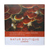 Reishi Tea 20 Sachets - Natur Boutique - Herbal tea - Eco Natural Products