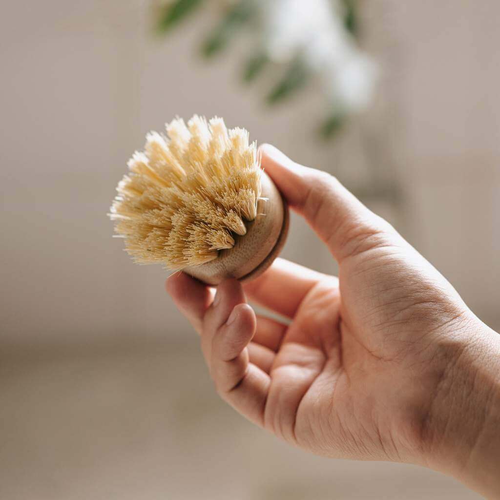 Reusable Bamboo Dish Brush Head (Soft Bristles)