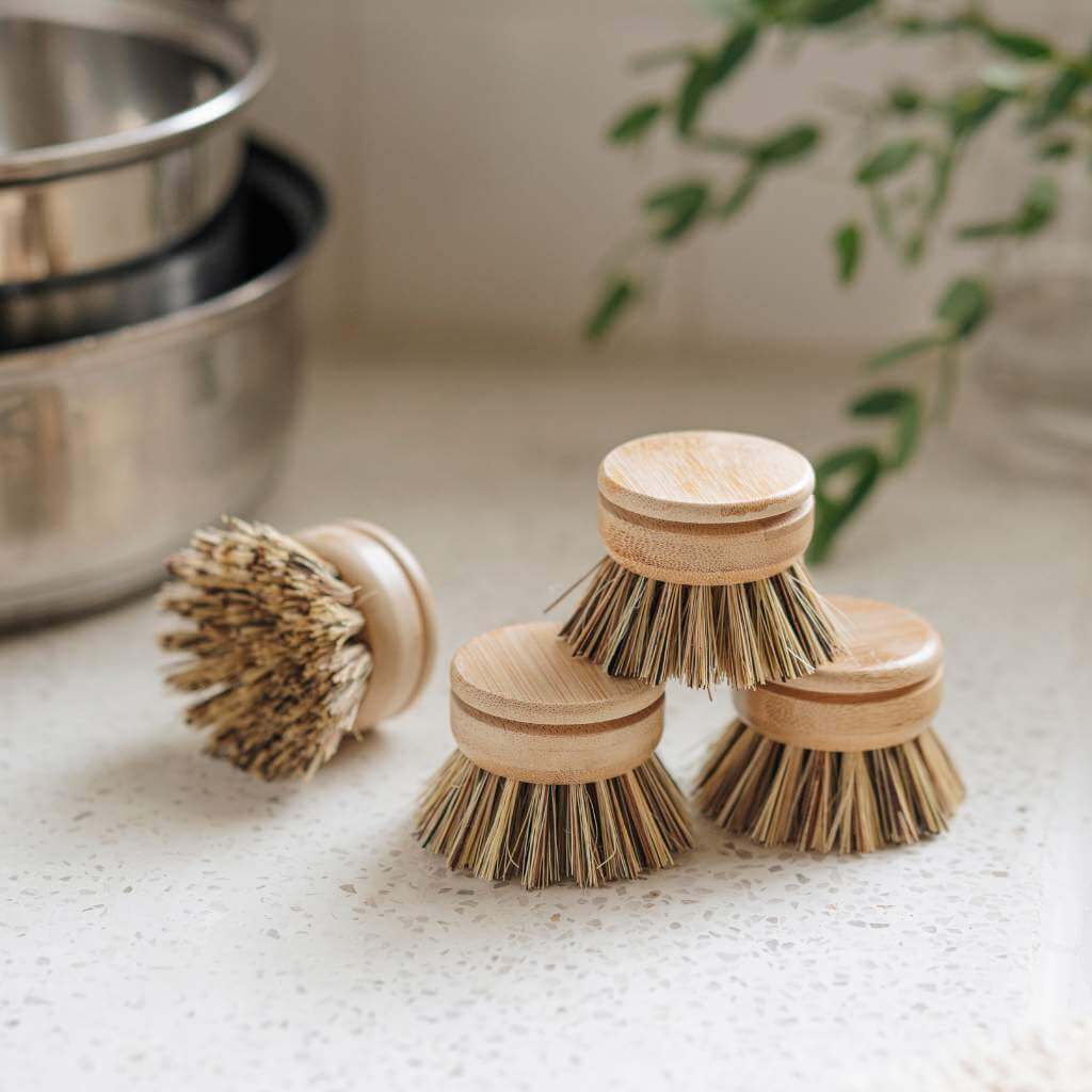 Reusable Bamboo Dish Brush Head (Firm Bristles)