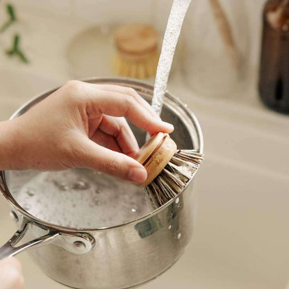 Reusable Bamboo Dish Brush Head (Firm Bristles) - Eco Natural Products - Washing Up Brush - Eco Natural Products