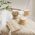 Reusable Bamboo Dish Brush Head (Soft Bristles) - Eco Natural Products - Washing Up Brush - Eco Natural Products