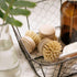 Reusable Bamboo Dish Brush Head (Soft Bristles) - Eco Natural Products - Washing Up Brush - Eco Natural Products