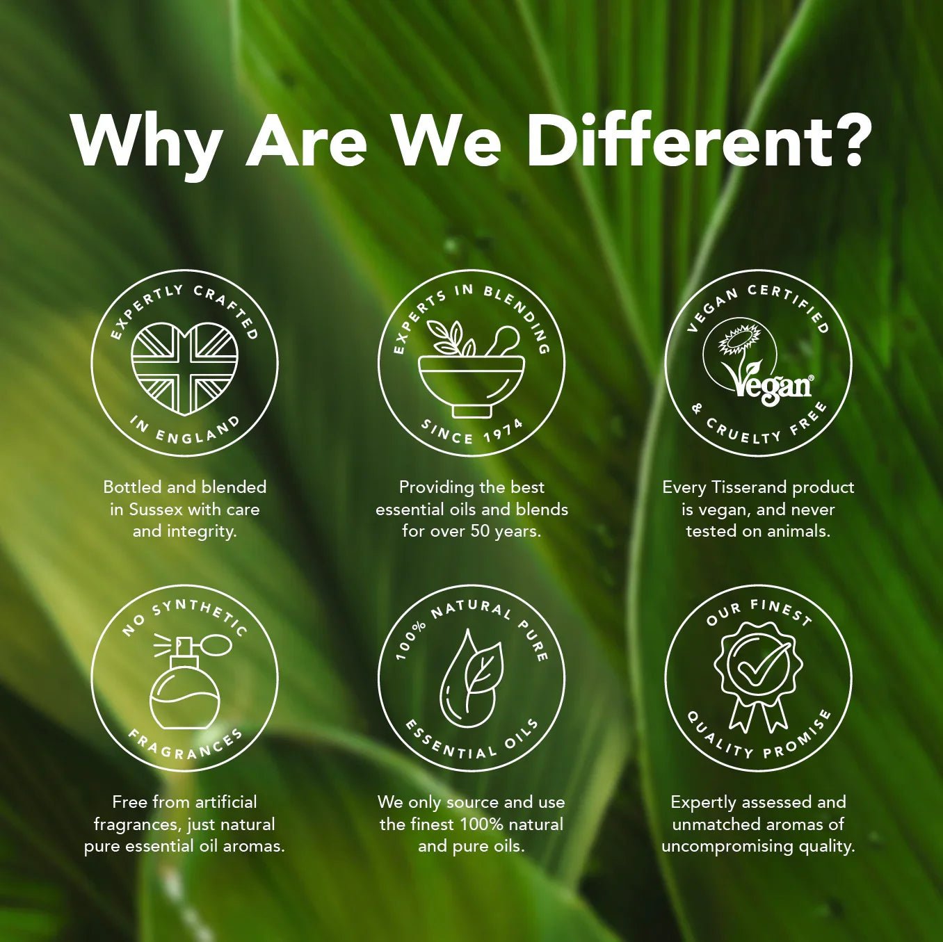 Roll - on Wellbeing Aromatherapy Collection 4x 10ml - Tisserand - Massage Oil - Tisserand