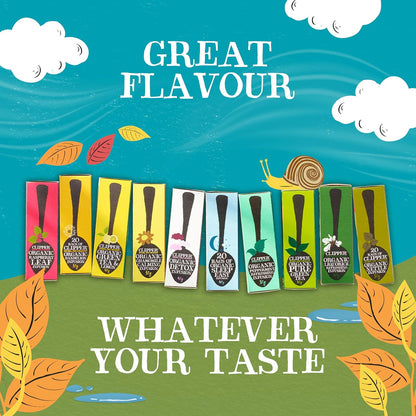 Rooibos Organic Tea 250 Envelopes - Clipper - Teas - Eco Natural Products