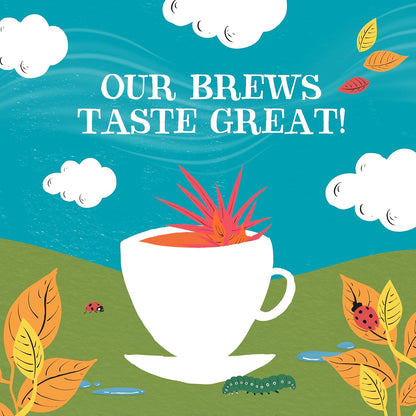 Rooibos Organic Tea 250 Envelopes - Clipper - Teas - Eco Natural Products