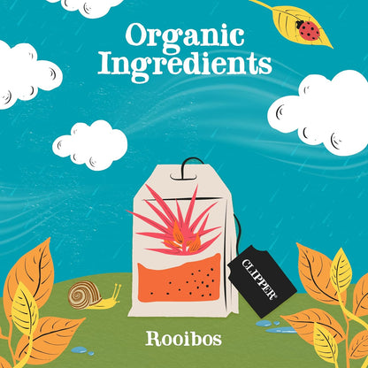 Rooibos Organic Tea 250 Envelopes - Clipper - Teas - Eco Natural Products