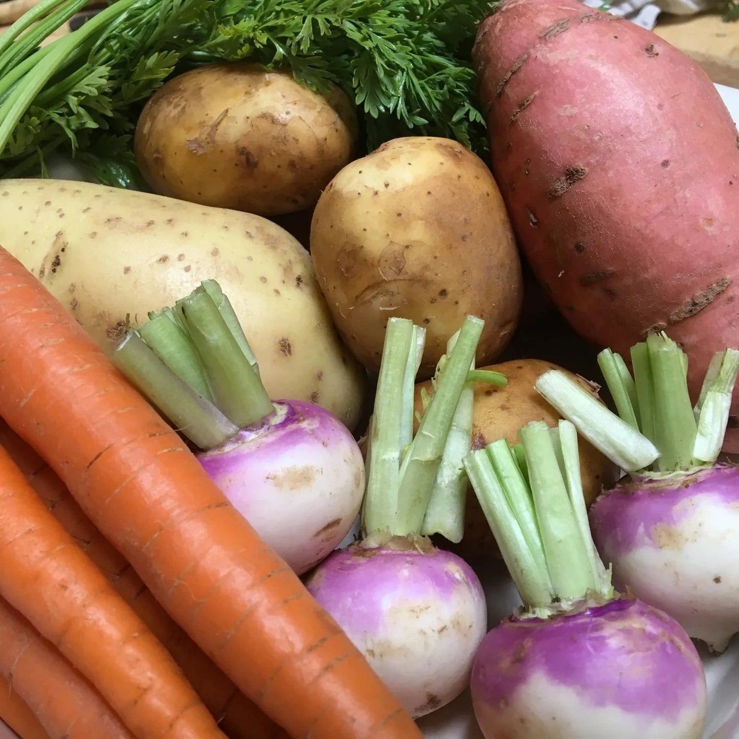 Root Vegetable Scrubber Biodegradable Plastic Free - LoofCo - Root Vegetable Scrubbers - Eco Natural Products