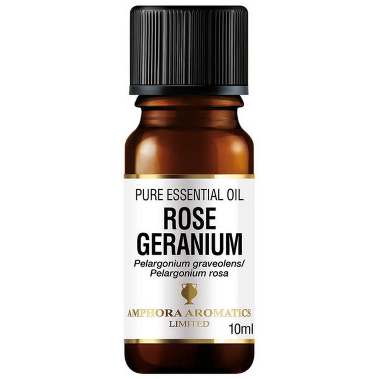 Rose Geranium Essential Oil 10ml - Amphora Aromatics - Essential Oil - Eco Natural Products
