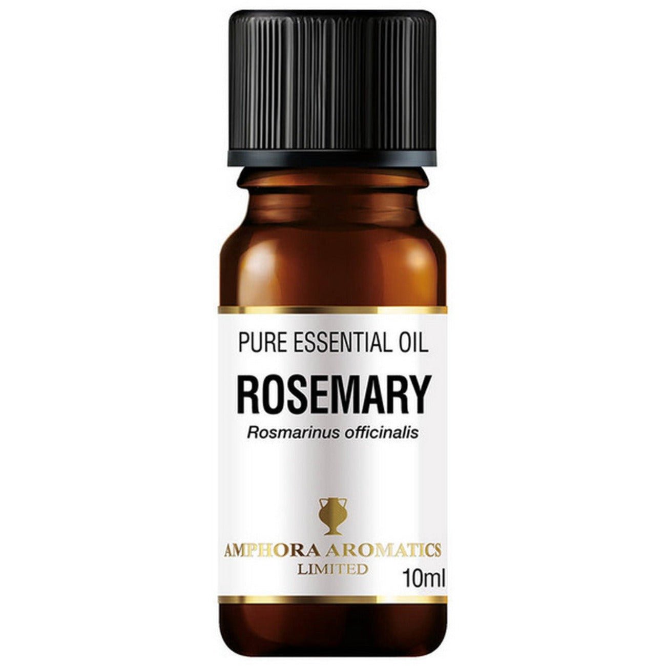 Rosemary Essential Oil 10ml - Amphora Aromatics - Essential Oil - Eco Natural Products