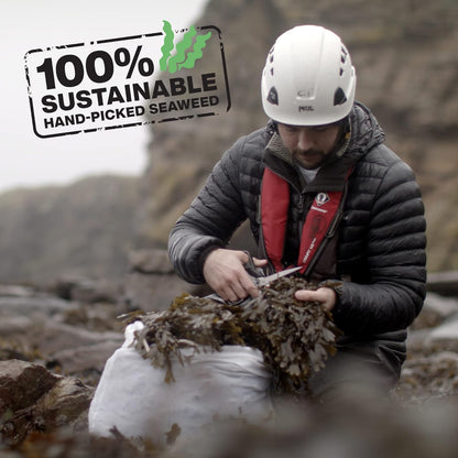 Seaweed Chips Sea Salt 25g - Shore Scottish Seaweed - Chips - Eco Natural Products