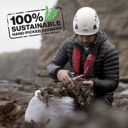 Seaweed Chips Sweet Sriracha 80g - Shore Scottish Seaweed - Snack - Eco Natural Products