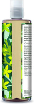 Seaweed & Citrus Shampoo 400ml - Faith in Nature - Shampoo - Eco Natural Products