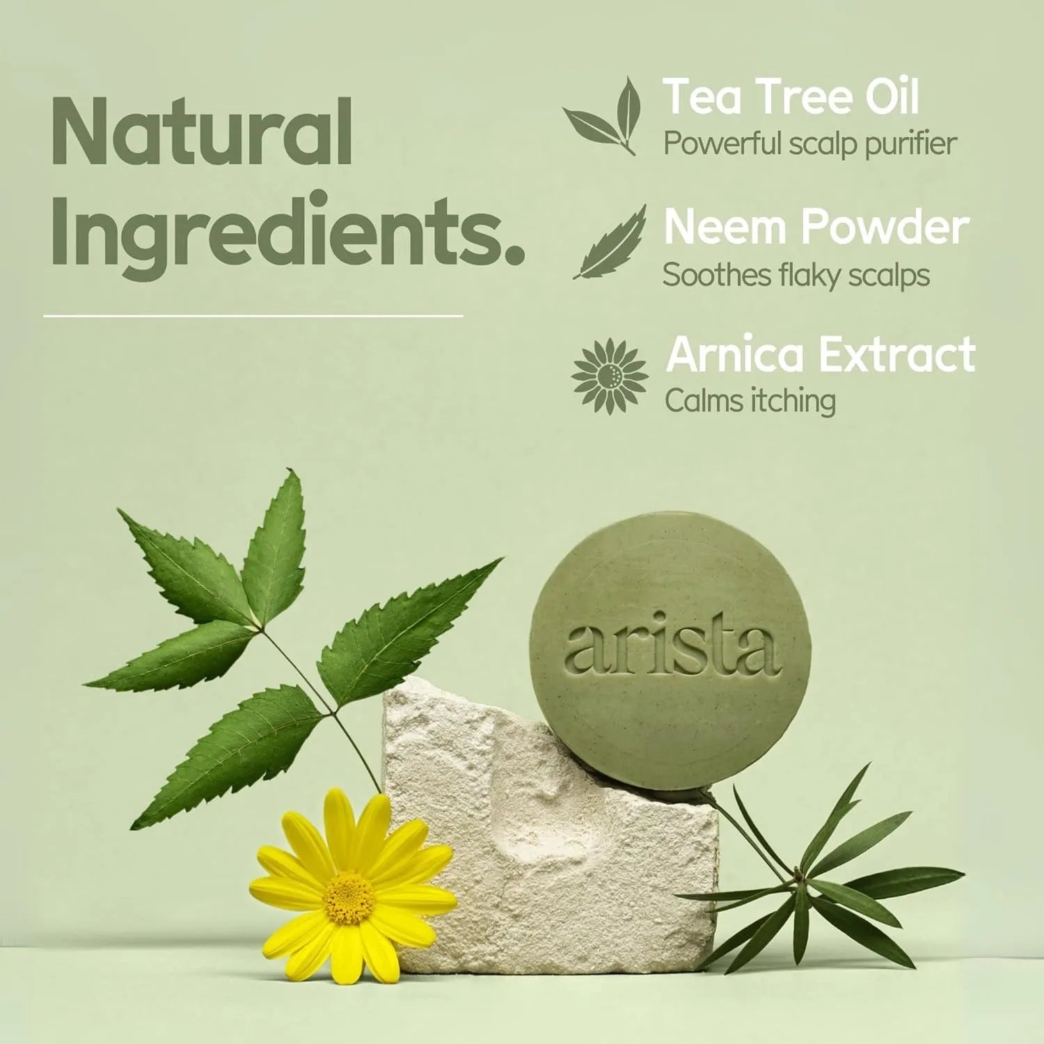 Shampoo Bar Anti - Dandruff 80g - Arista - Shampoo - Arista