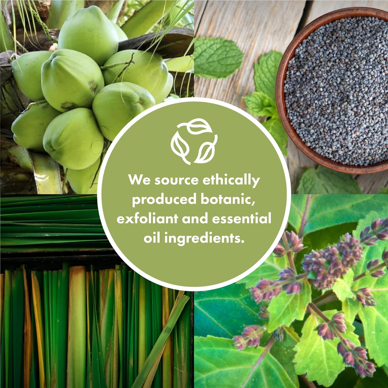 Shampoo Bar Fragrance Free 95g - Friendly Soap - Shampoo - Eco Natural Products