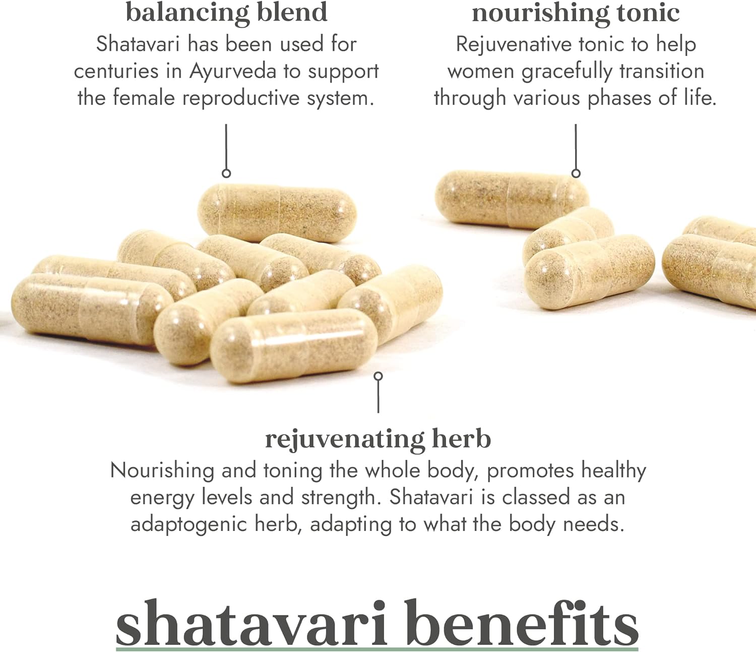Shatavari Root Organic 60 Capsules - Fushi Wellbeing - Supplement - Eco Natural Products