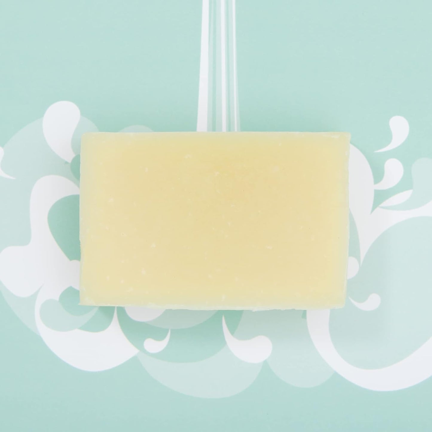 Solid Shower Gel: Naked Unscented 100g - Shower Blocks - Body Wash - Eco Natural Products