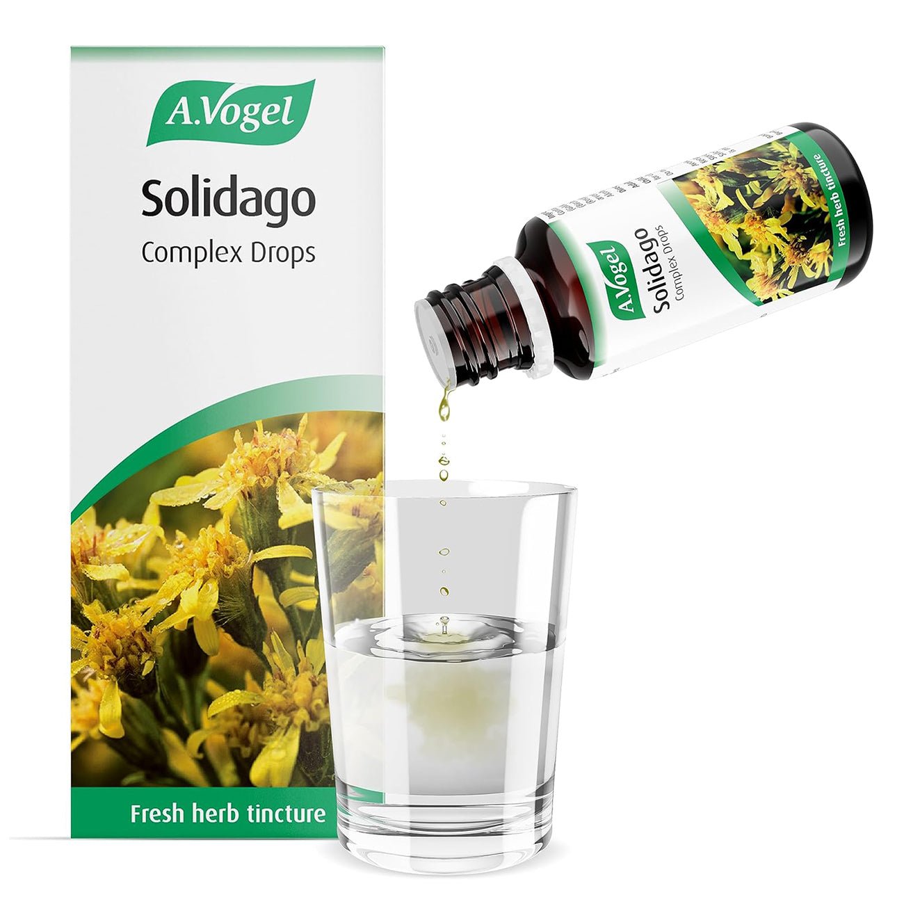 Solidago Complex Tincture Drops 50ml - A. Vogel - Herbal Supplement - Eco Natural Products