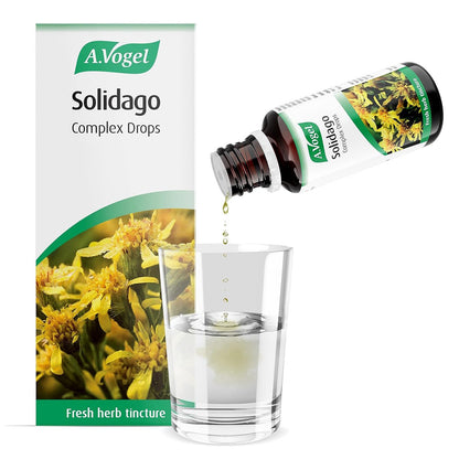 Solidago Complex Tincture Drops 50ml - A. Vogel - Herbal Supplement - Eco Natural Products