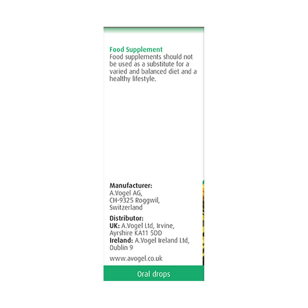 Solidago Complex Tincture Drops 50ml - A. Vogel - Herbal Supplement - Eco Natural Products