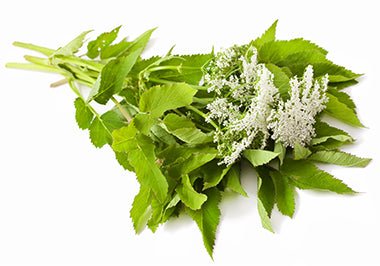 Soothing Face Cream 50ml - Dr. Konopka - Face Cream - Eco Natural Products