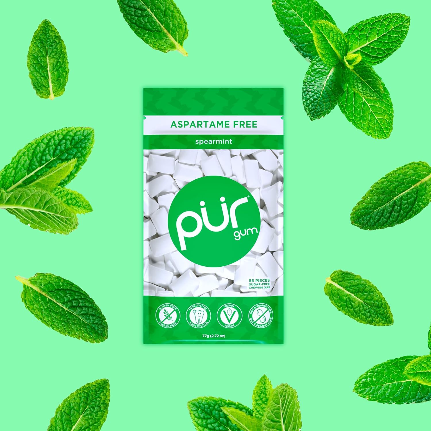 Spearmint Gum Bag 77g - Pur - Gum - Eco Natural Products