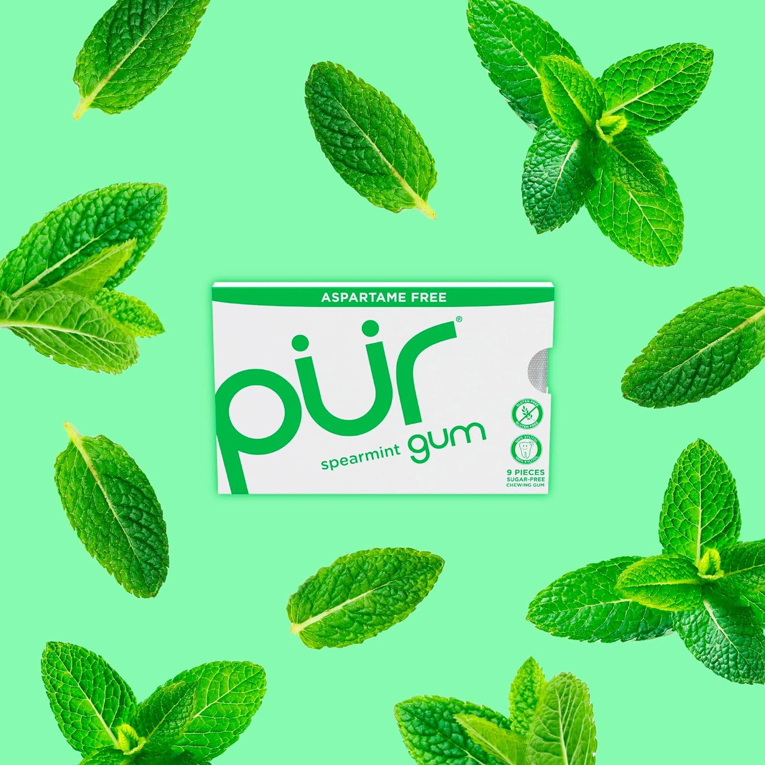 Spearmint Gum Blister Pack 9 Pieces - Pur - Gum - Eco Natural Products