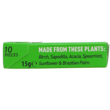 Spearmint Plant - based Plastic - free Gum 15g - Chewsy - Gum - Eco Natural Products