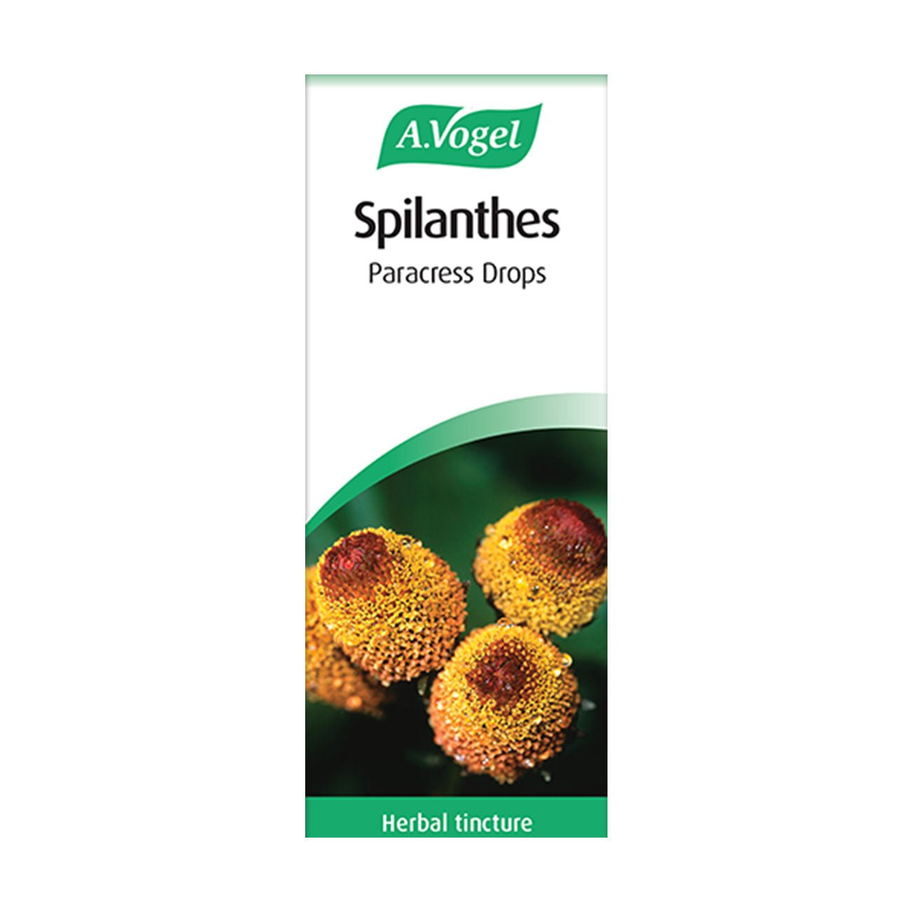 Spilanthes Tincture Drops 50ml - A. Vogel - Herbal Supplement - Eco Natural Products