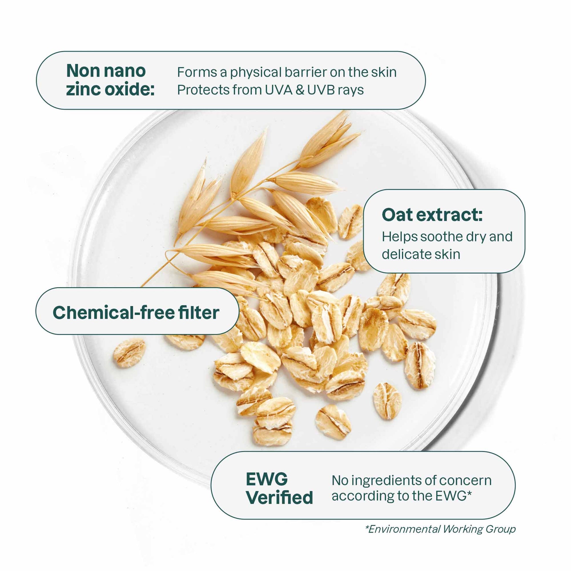 Sunscreen Face Stick Oatmeal Sensitive Natural SPF30 20g - Attitude - Sunscreen - Eco Natural Products