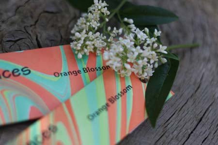 The Mother's Fragrances Orange Blossom Incense 12sticks [BLACK FRIDAY] - Eco Natural Products - Greater Goods - Incense