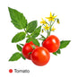 Tomato Grow Pack Refill - Bottle Farm - Seeds - Eco Natural Products