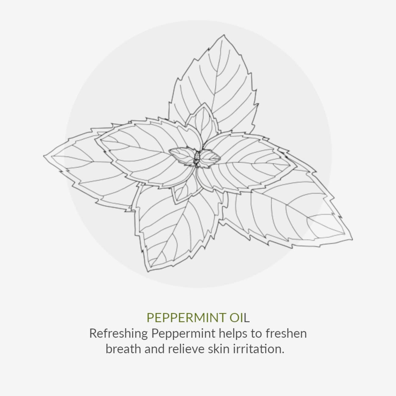 Toothpaste Peppermint & Aloe Vera 50ml - Green People - Toothpaste - Eco Natural Products