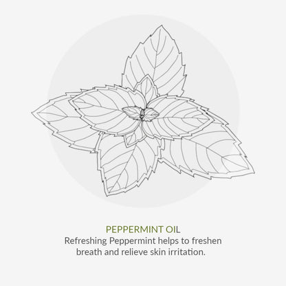 Toothpaste Peppermint & Aloe Vera 50ml - Green People - Toothpaste - Eco Natural Products